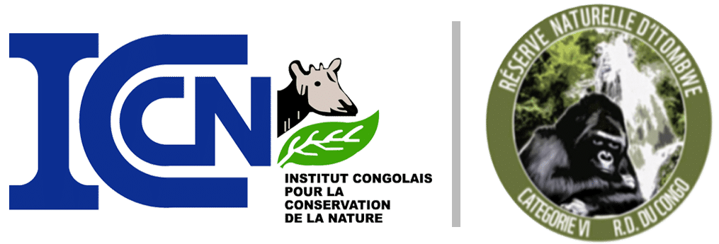 Reserve Naturelle d’Itombwe